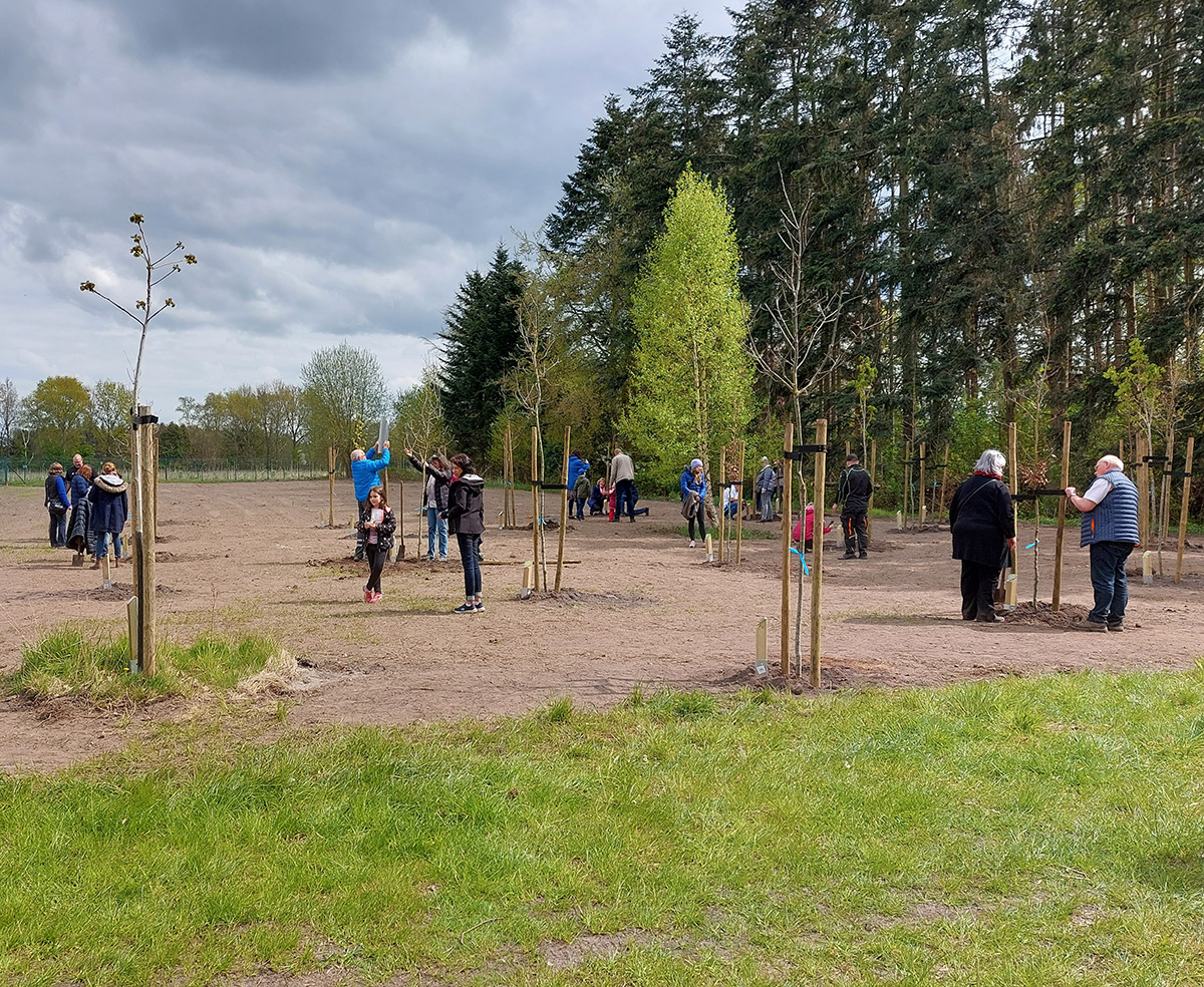 Hochzeitswald In Himmelpforten - Christkinddorf Himmelpforten